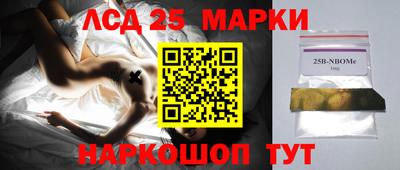 СК Бийск