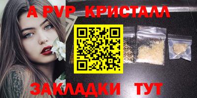 СК Бийск