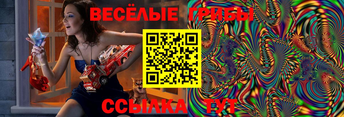 Гурьевск  Галлюциногенные грибы Magic Shrooms  Вход с VPN 